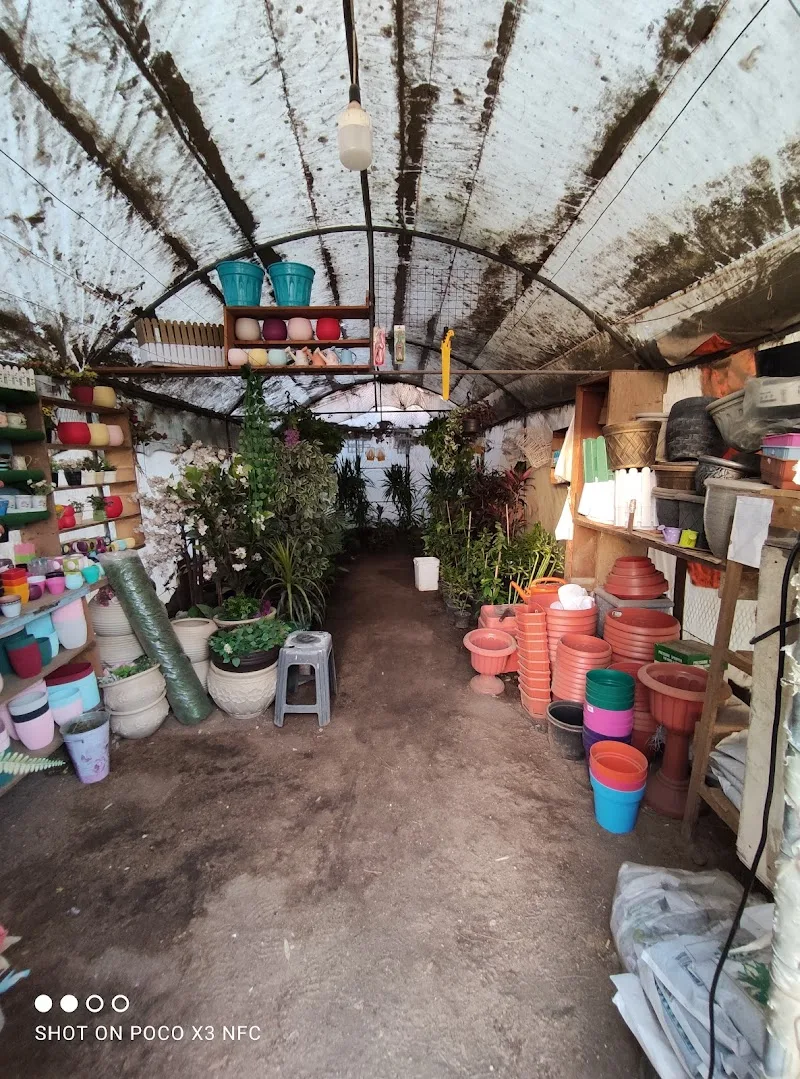 مشتل زهور السلام