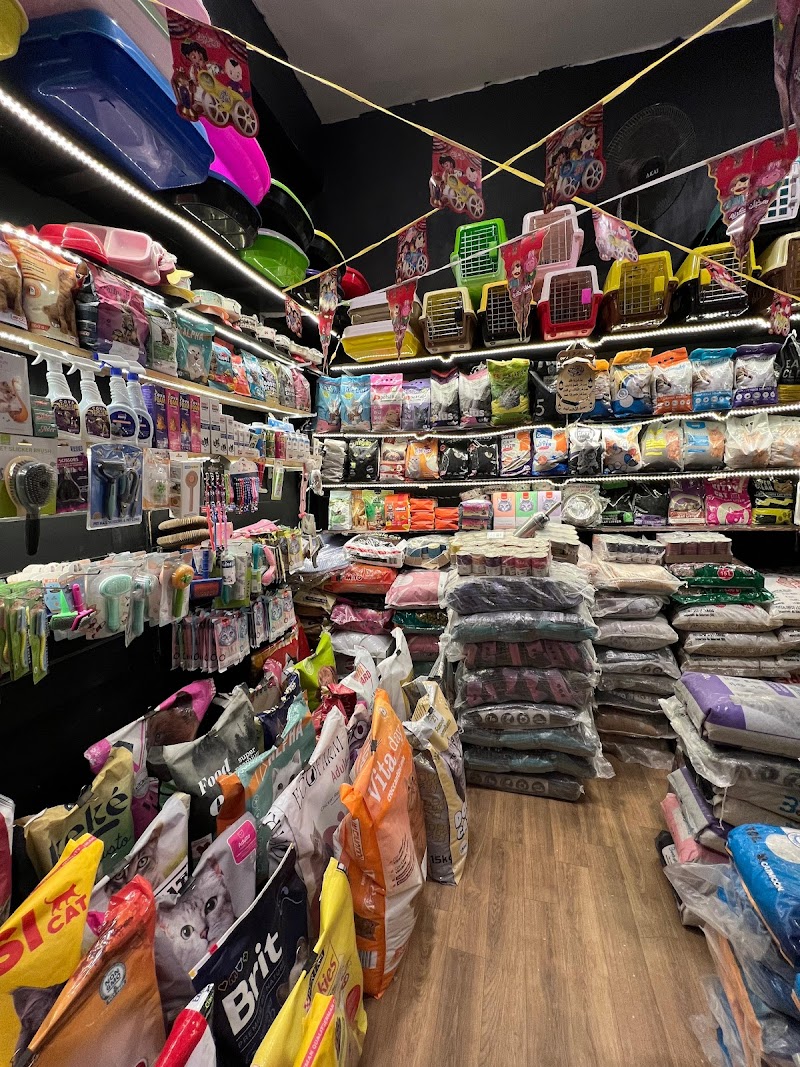Bondok pets shop