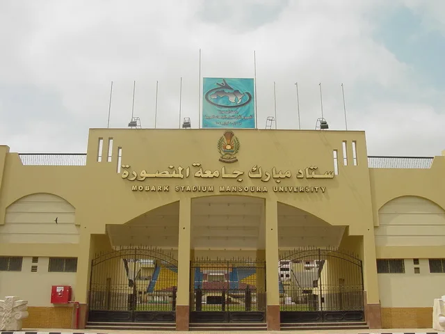 جامعة المنصورة - صورة 2