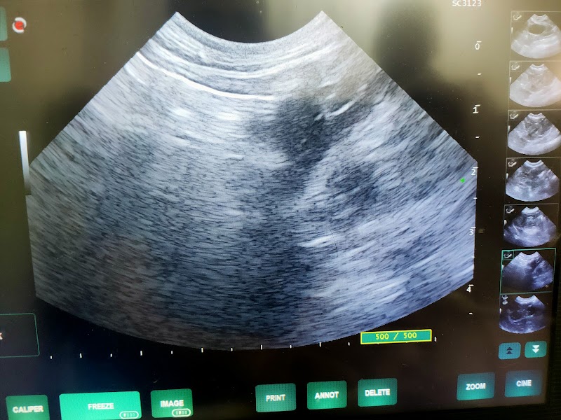 TVC, The Veterinary Center - صورة 1