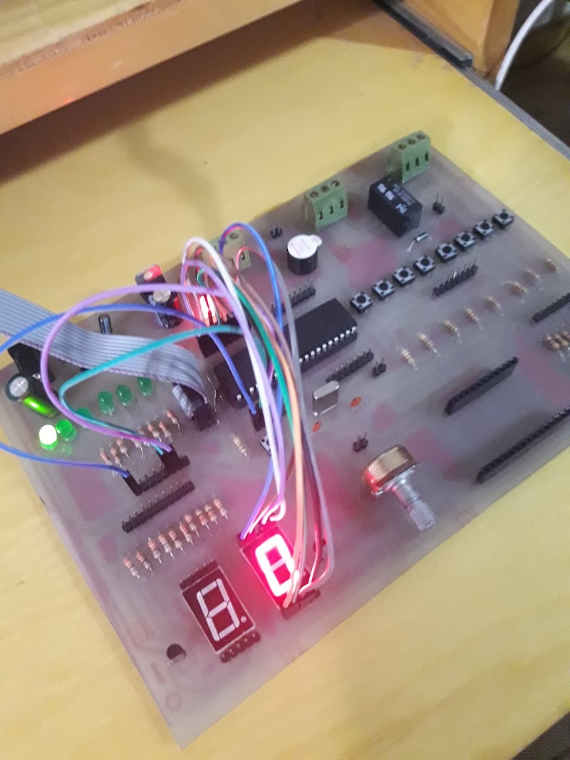 Alexandria Training Center - صورة 2