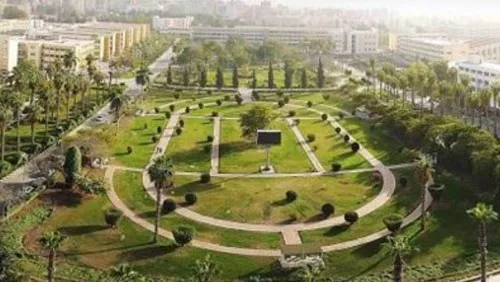 جامعة المنصورة - صورة 3