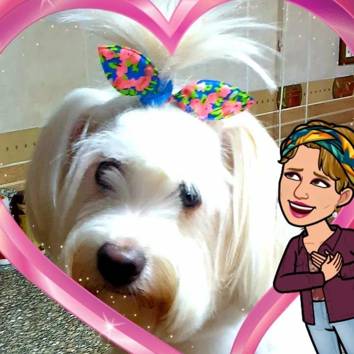 Vet Plus veterinary clinic - Photo 2