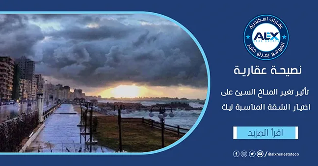 Alex real estate عقارات إسكندرية - صورة 2