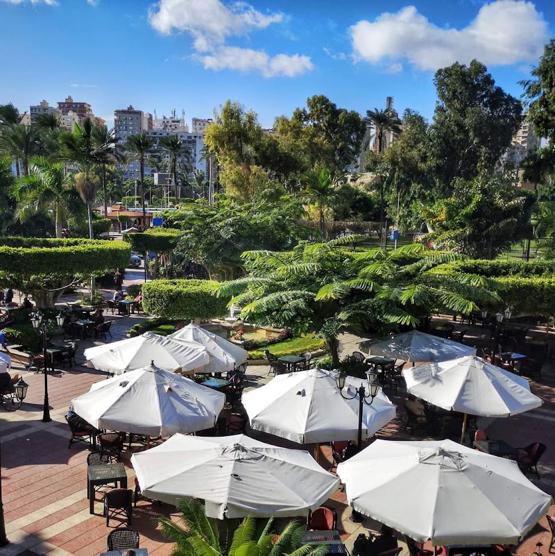 Sporting Club Gym & Fitness Centre