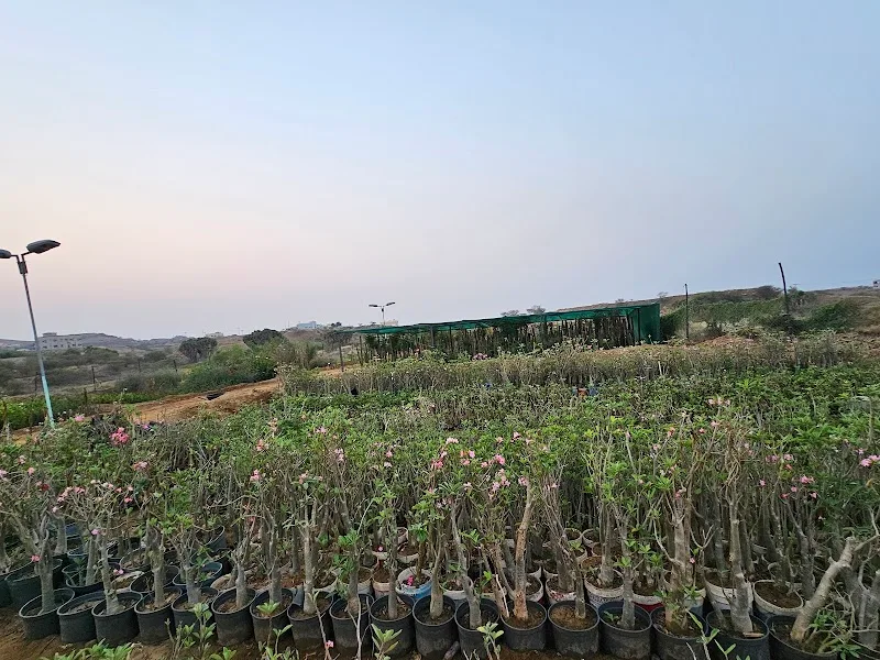 مشتل الحياة - Photo 2