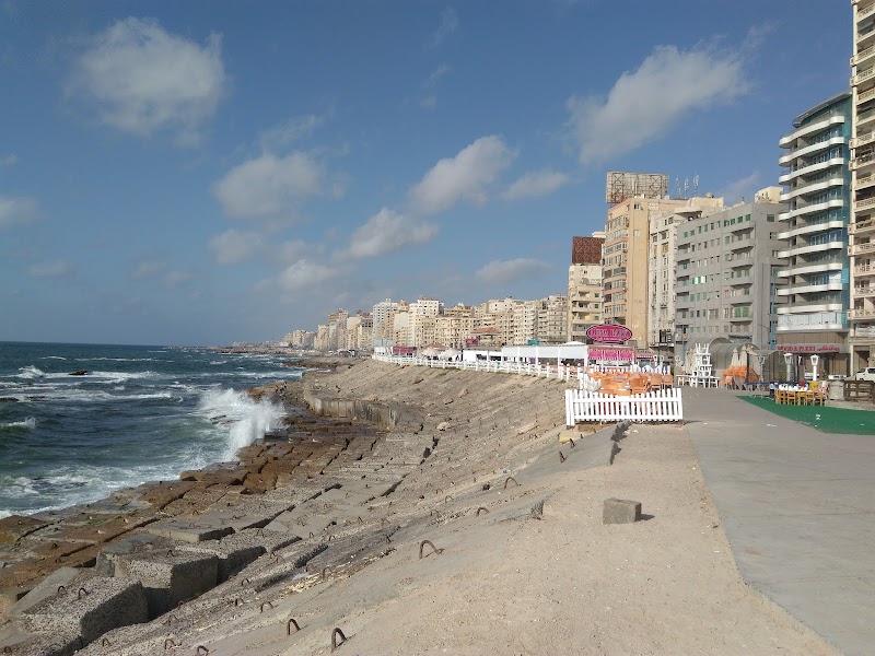 القاعة الملكية - صورة 3