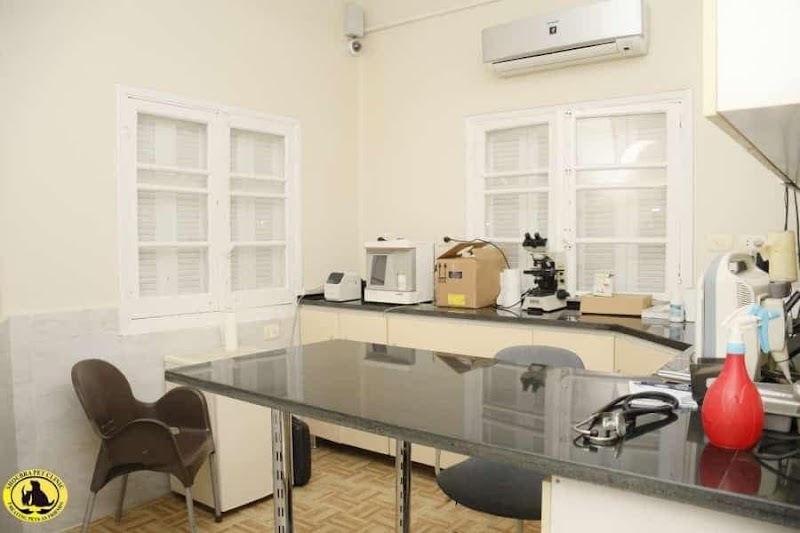 عياده شبرا البيطريه shoubra pet clinic د/احمد عصام - Photo 3