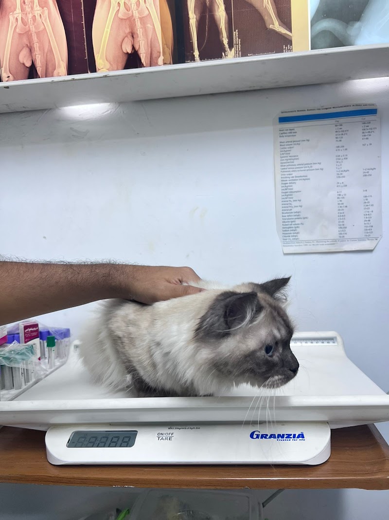 عيادة الاقبال البيطرية