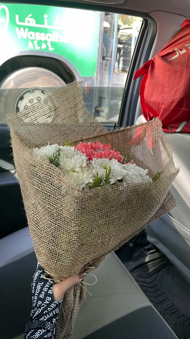 - Amon flowers زهور امون - Photo 2