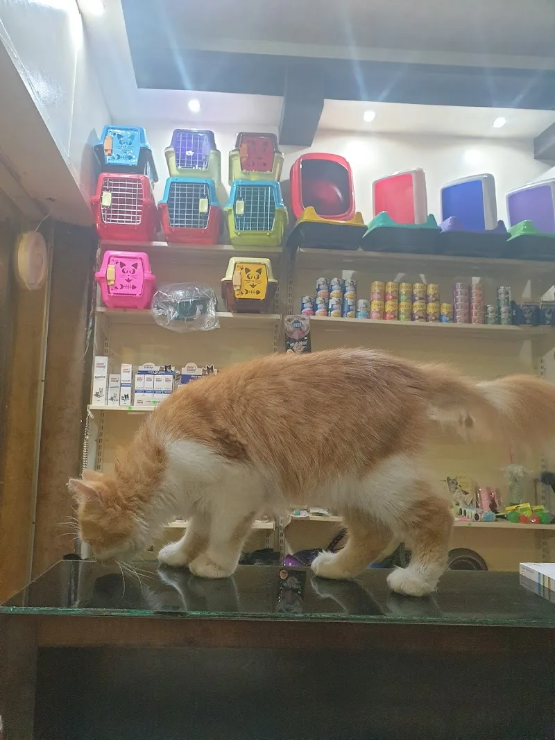 Peticare Animal Hospital عيادة بيتي كير البيطرية - Photo 2