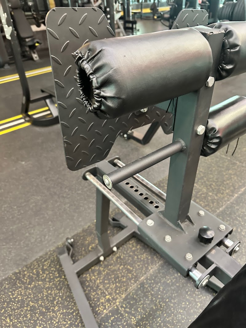 Gold's Gym Alexandria club - صورة 3