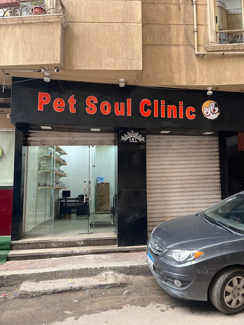 Pet Soul Clinic عيادة بيطرية طوارئ 24 ساعة في الأسكندرية مصطفى كامل كفر عبده