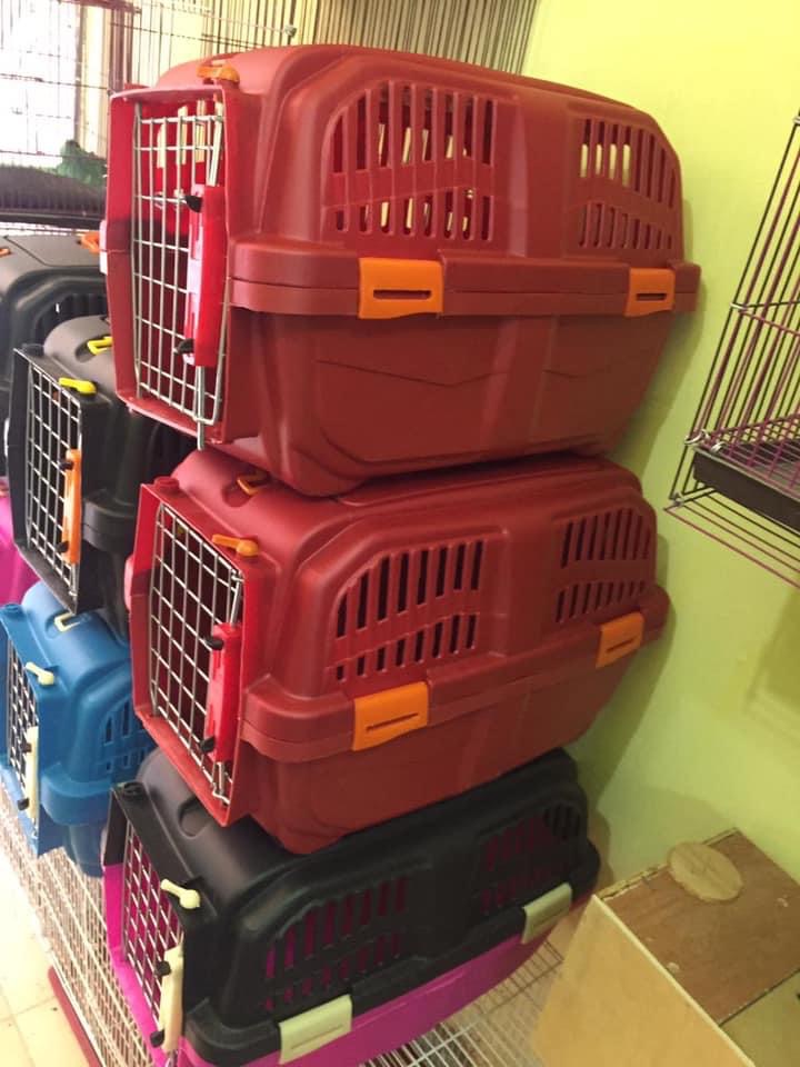 محل قطة وعصفورة - صورة 2