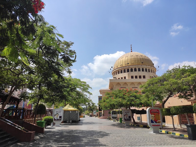 نادى جزيرة الورد الرياضى - صورة 2