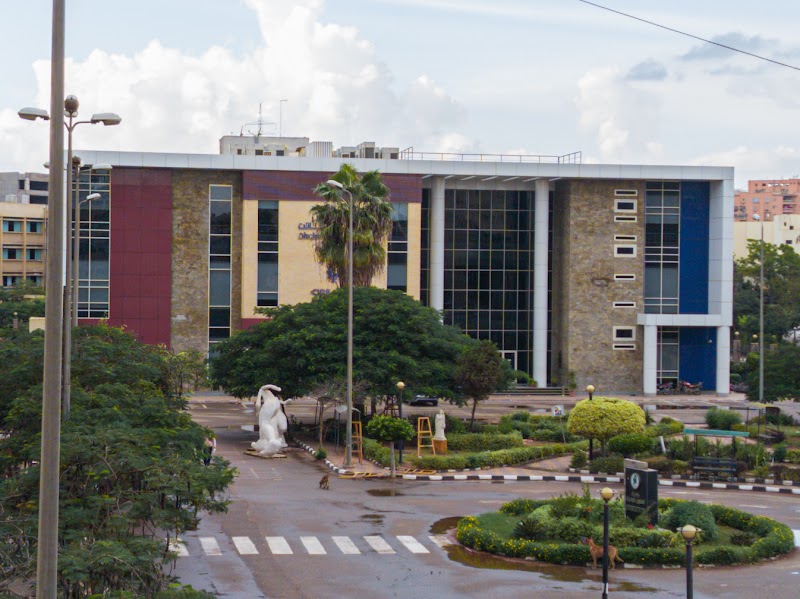 كرياتيفا المنصورة - صورة 2