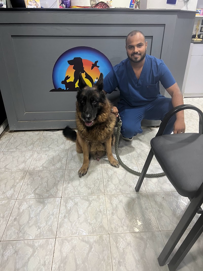 المركز البيطري الامريكي بشيراتون
