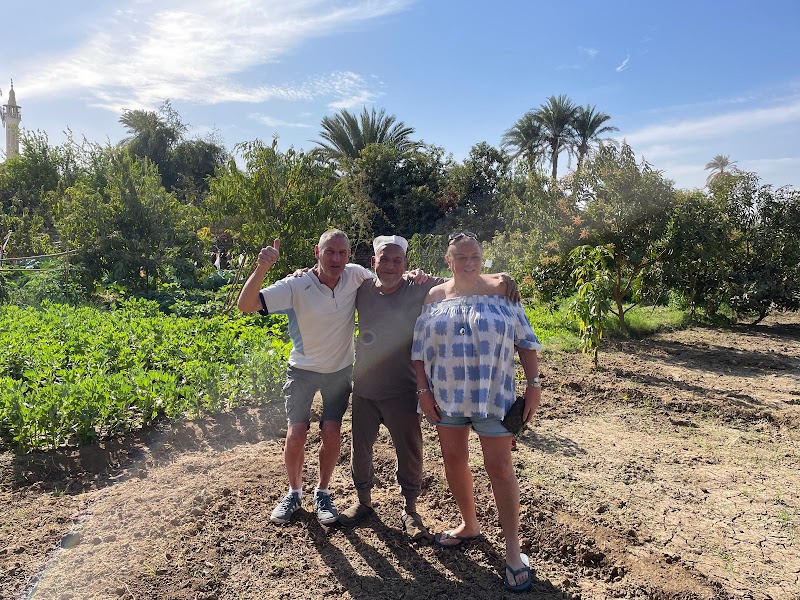 Luxor farm