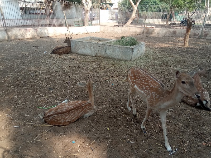 Fayoum Zoo - Photo 3