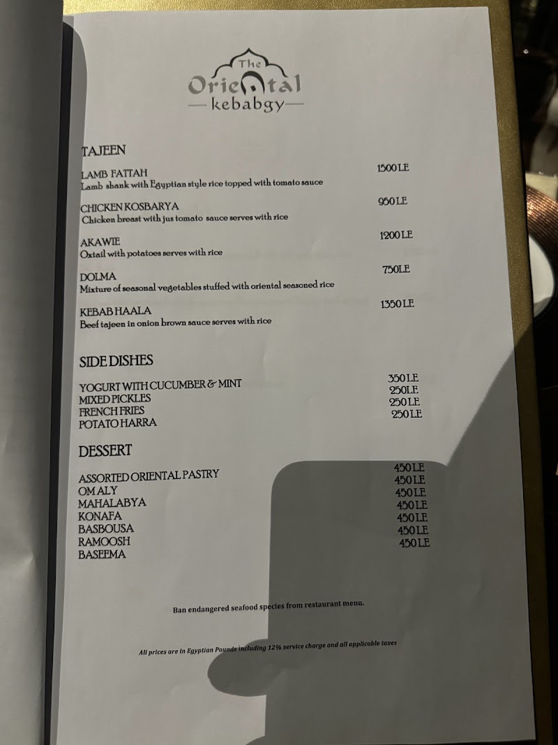 Oriental Kebabgy - Photo 3