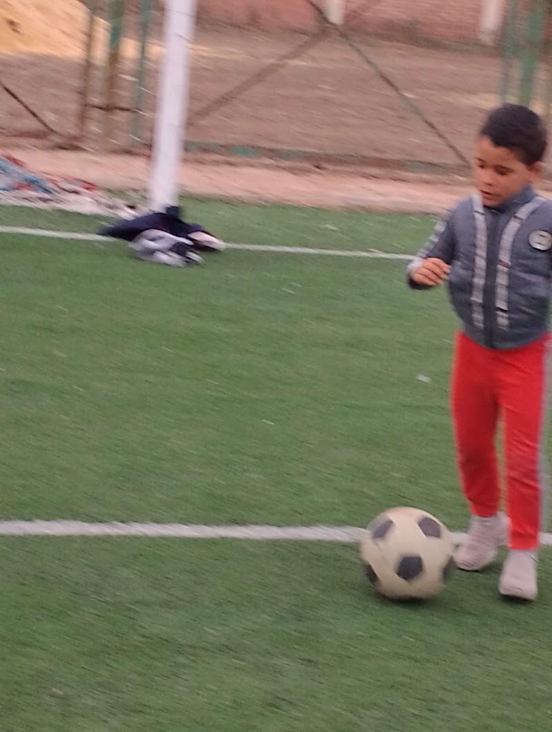 نادى الكوم الأخضر - Photo 1