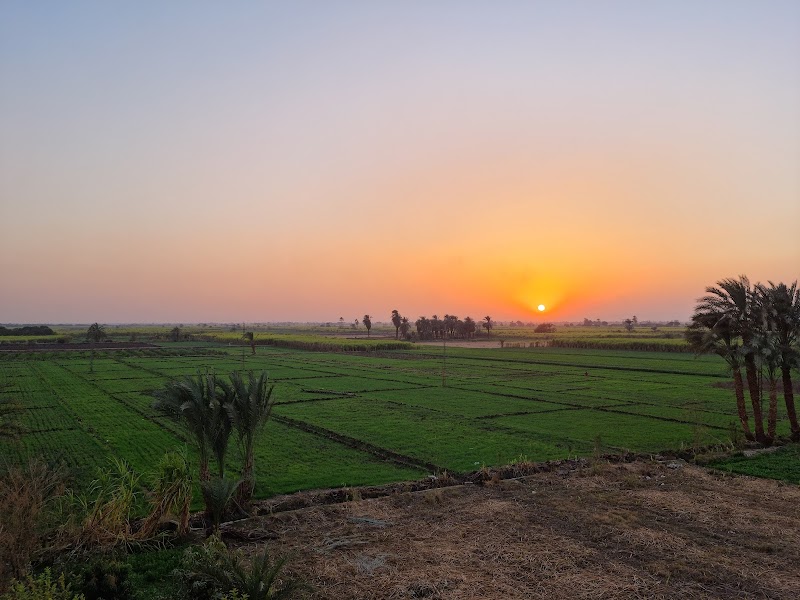 وحدة صحة الاسرة باللاقالته - صورة 2
