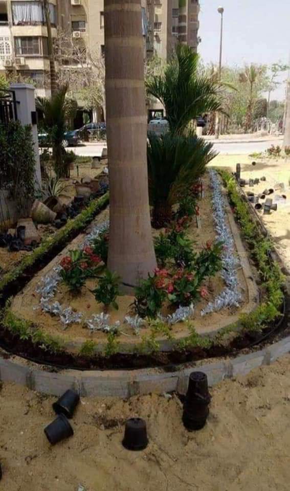 مشاتل السلام بالغربية