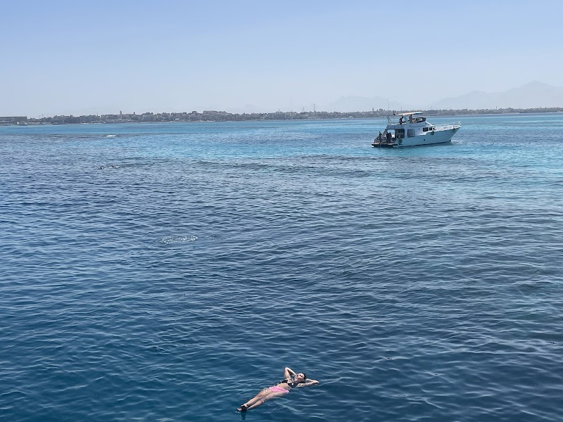 El Sahel Travel - Wycieczki z Hurghady - صورة 1