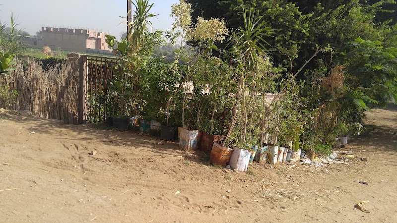مشتل - صورة 2