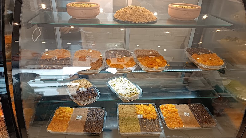 زانوبيا - صورة 2
