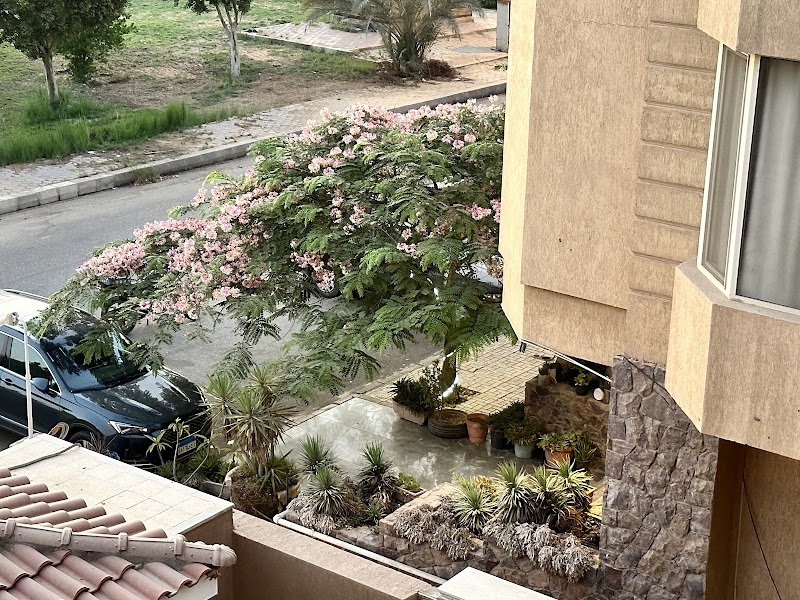 Maison 7 Elobour - Photo 3