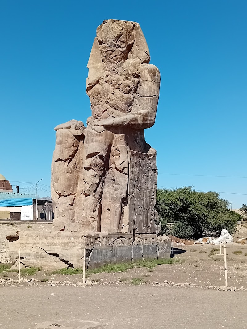 Faculty of Nursing Aswan University - Photo 2