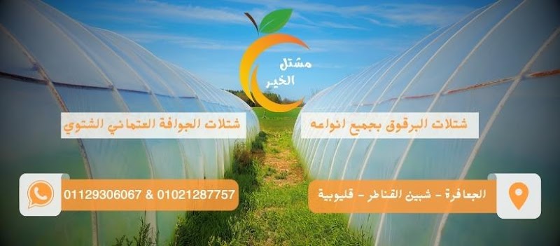 مشتل الخير - Photo 2