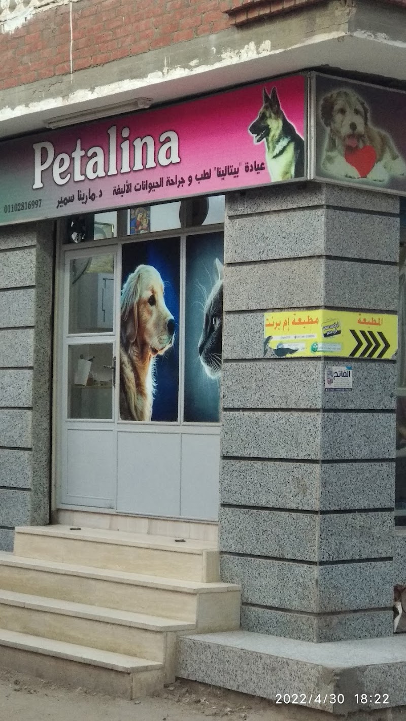 Petalina د . مارينا سمير