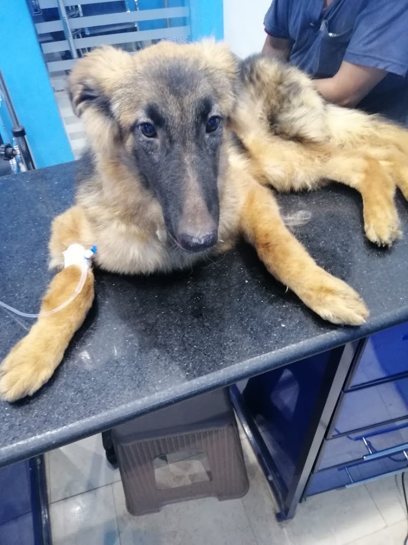 EGY Vet Clinic - Sharkia Branch - Photo 2