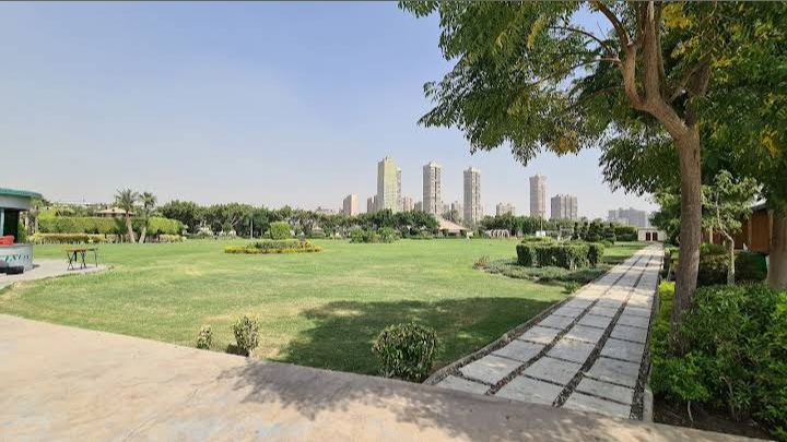 Maadi Island