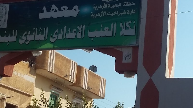 معهد بنين نكلا الأزهرى