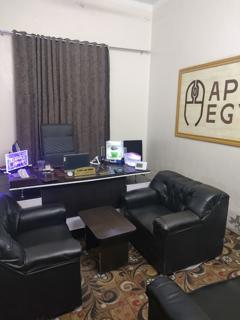 شركه ابل ايجيبت لخدمات الكمبيوتر - صورة 2