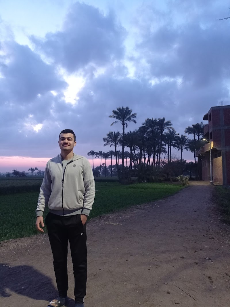 المعهد الديني الأزهري بمنية شبين القناطر - صورة 2
