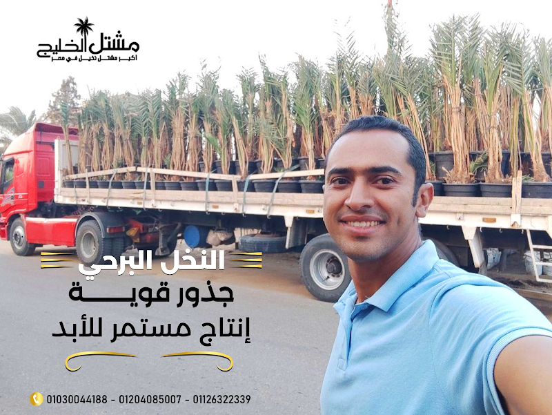 مشتل الخليج