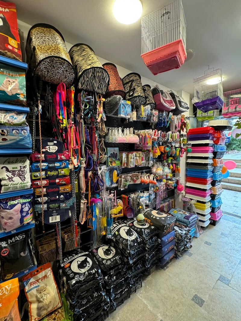 Malek Pets Shop - صورة 3
