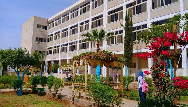 كلية الهندسة - جامعة أسوان