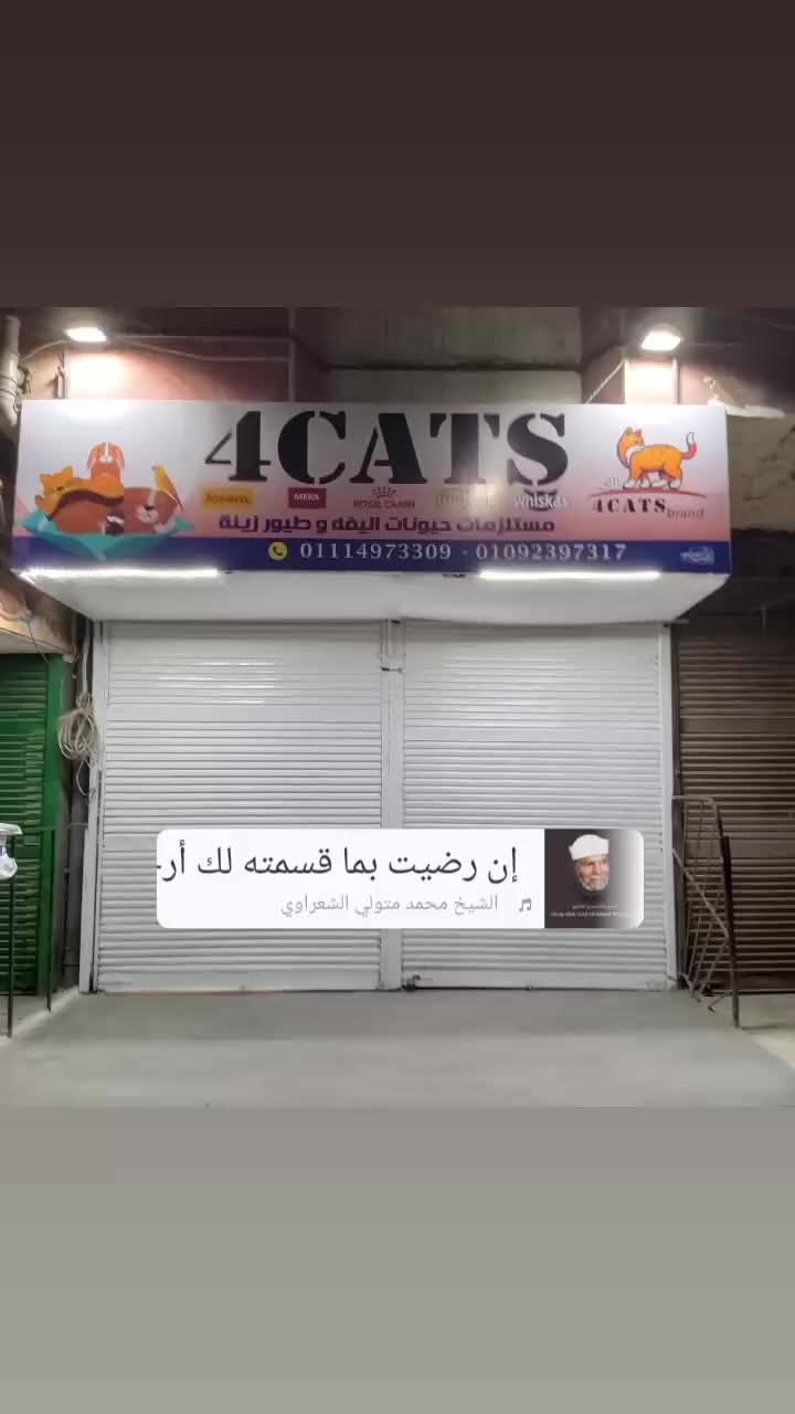 4cats - صورة 1
