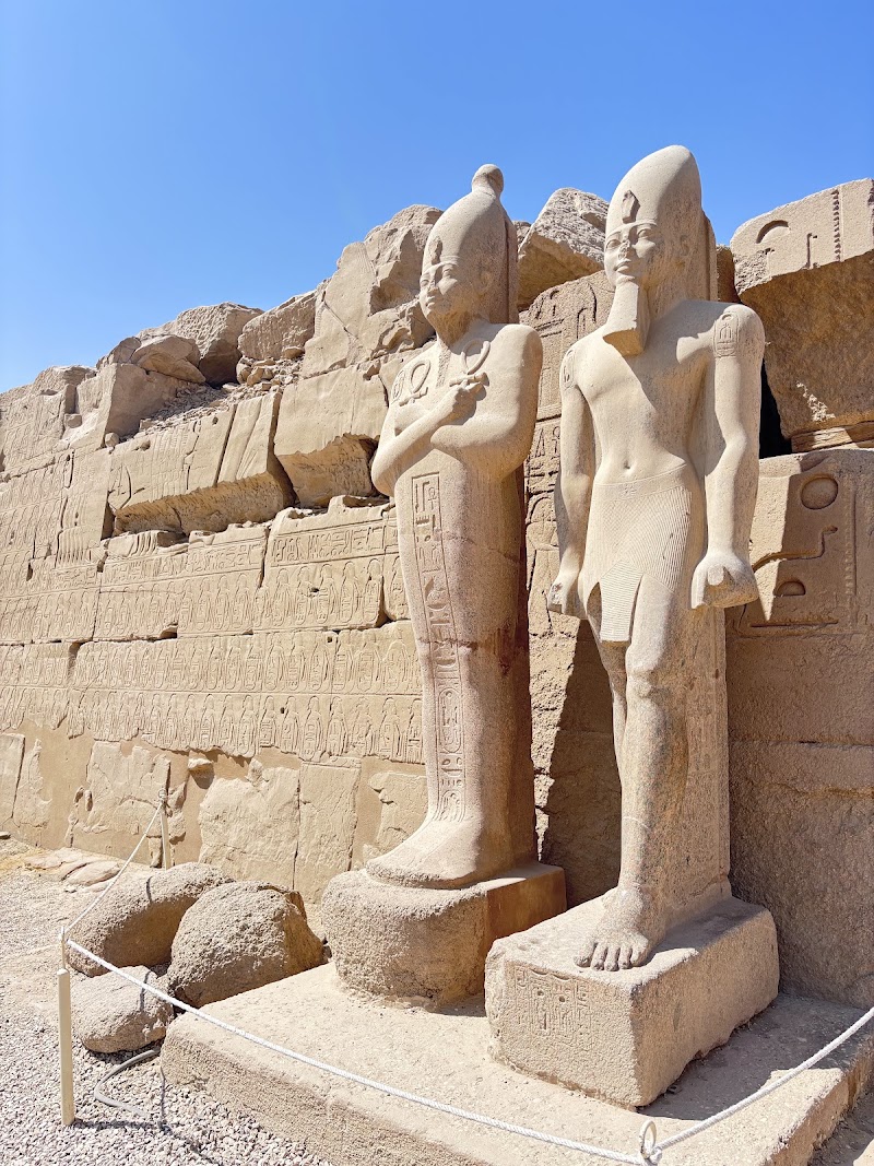 Red Sea Egypt Tours