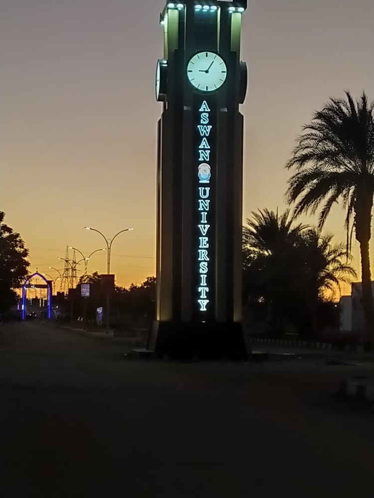 Aswan University - Photo 2