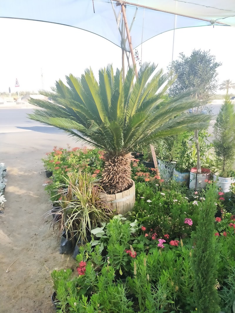 مشتل الايمان - صورة 3