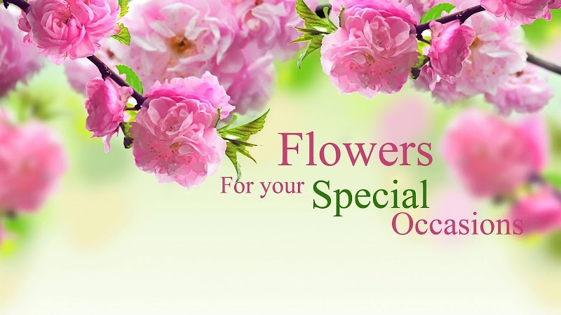 Gardenio Flowers & Giftshop