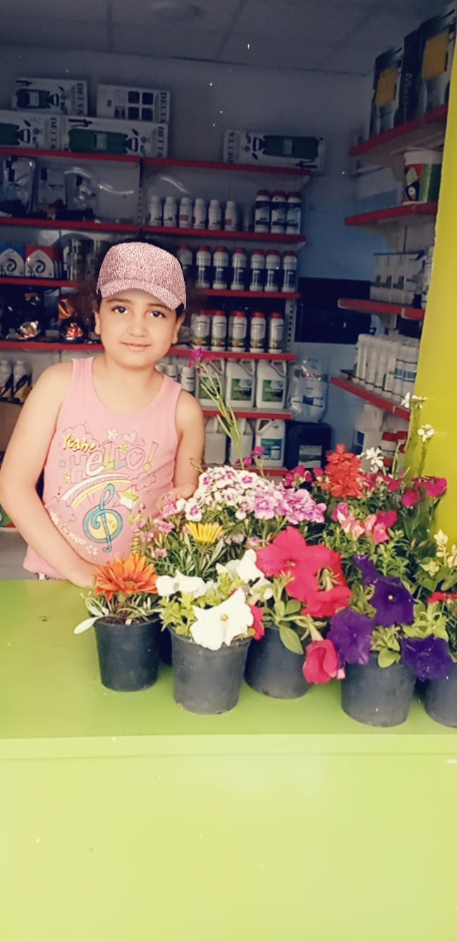 مؤسسة مودة الزراعية بشبين القناطر - صورة 1