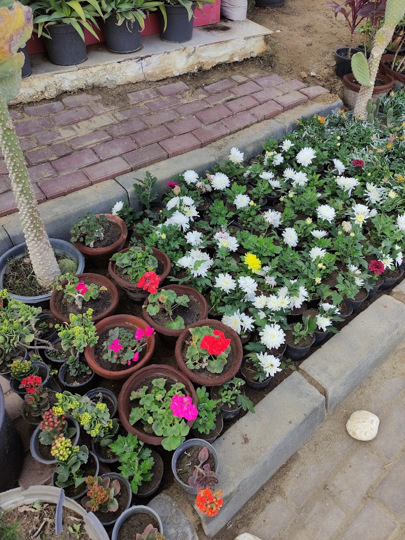 Egypt Nursery for Agriculture