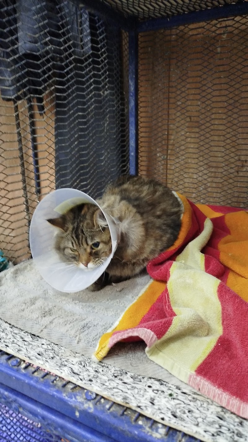 Bloom Pets Clinic - صورة 1